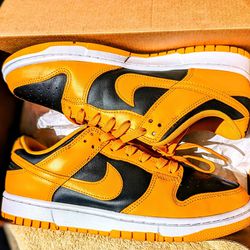 Nike "Golden Rod" Dunks ( Size 9 Mens)  Open For Trades Or Offers 
