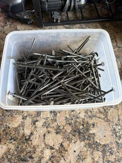 Nails 4 Inches $10 For Container 