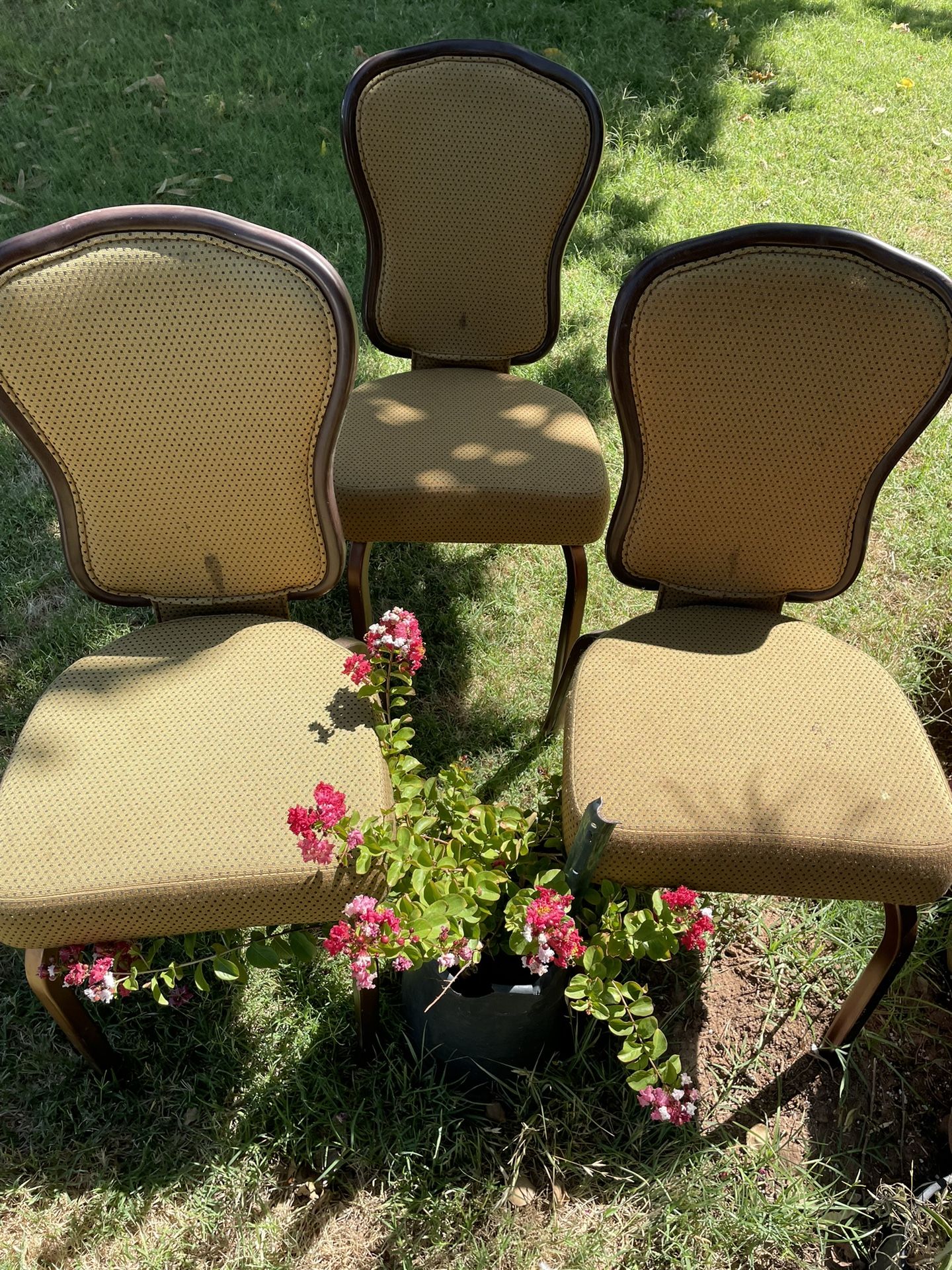 Beautiful 3 Chairs In Excellent Condition