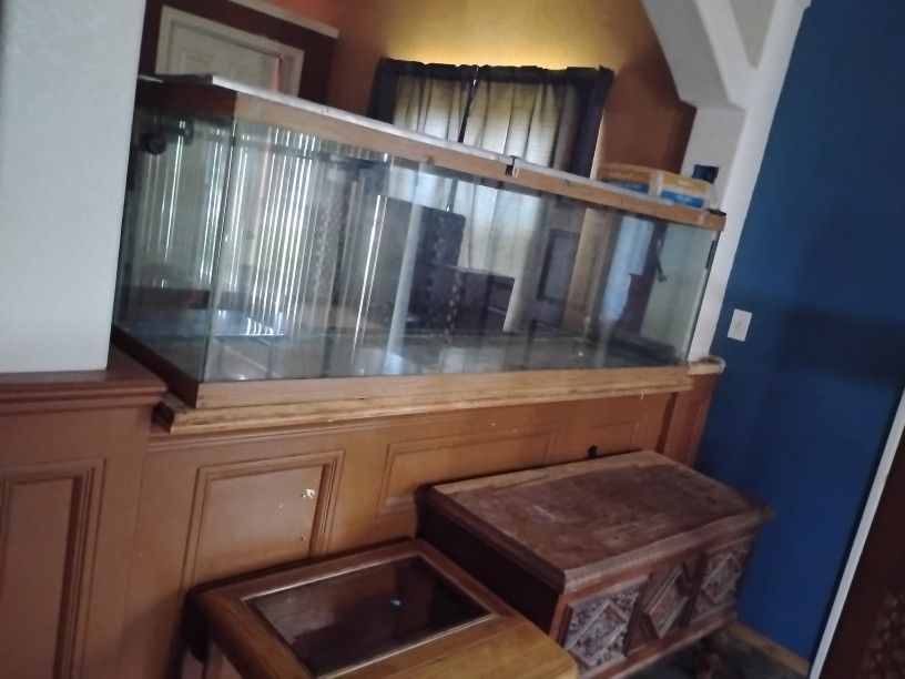 100 Gallon Aquarium