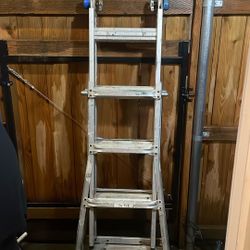 Werner Ladder