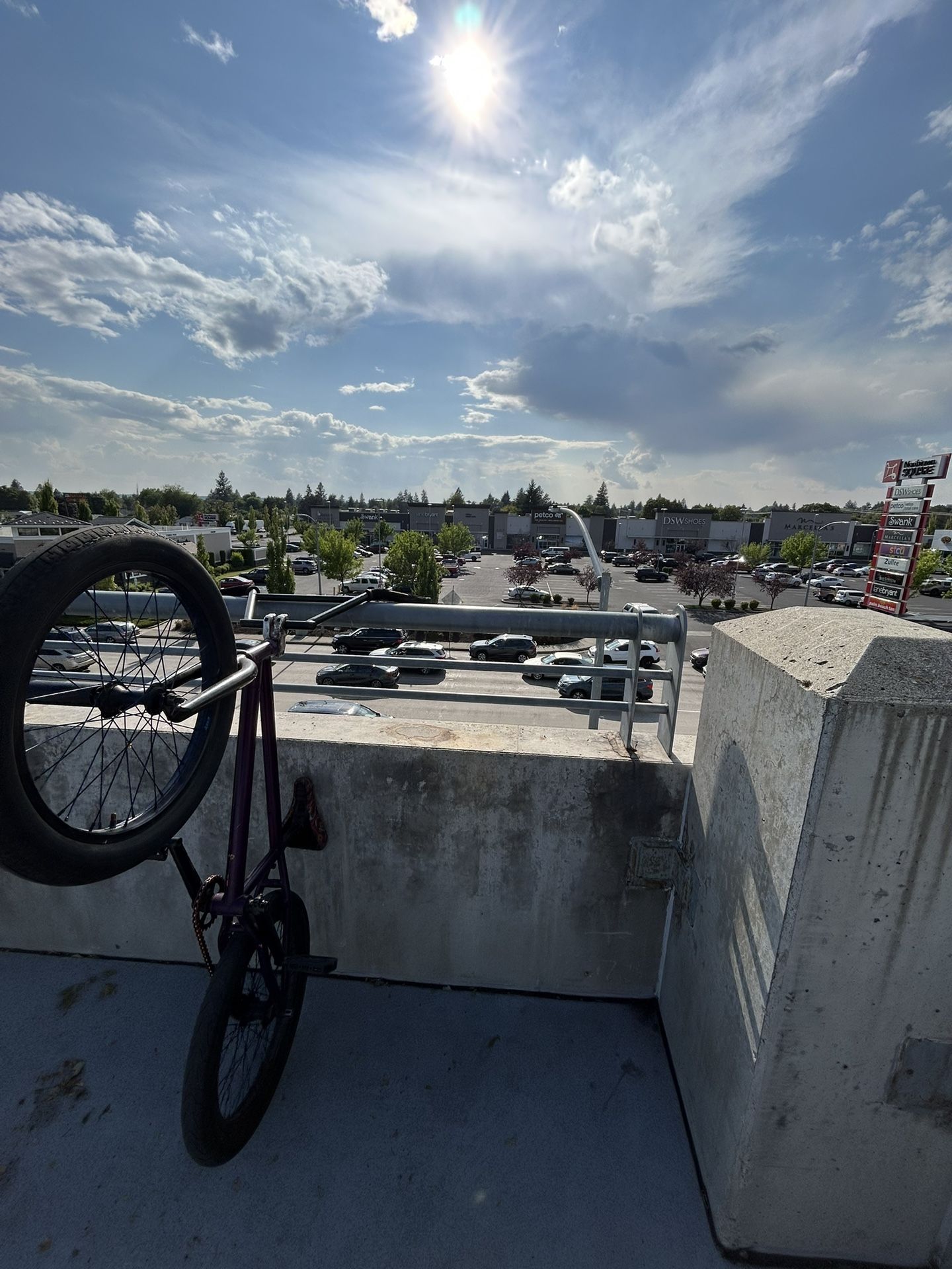 Custom Bmx