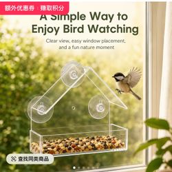 Clear Acrylic Window Bird Feeder with Suction Cups