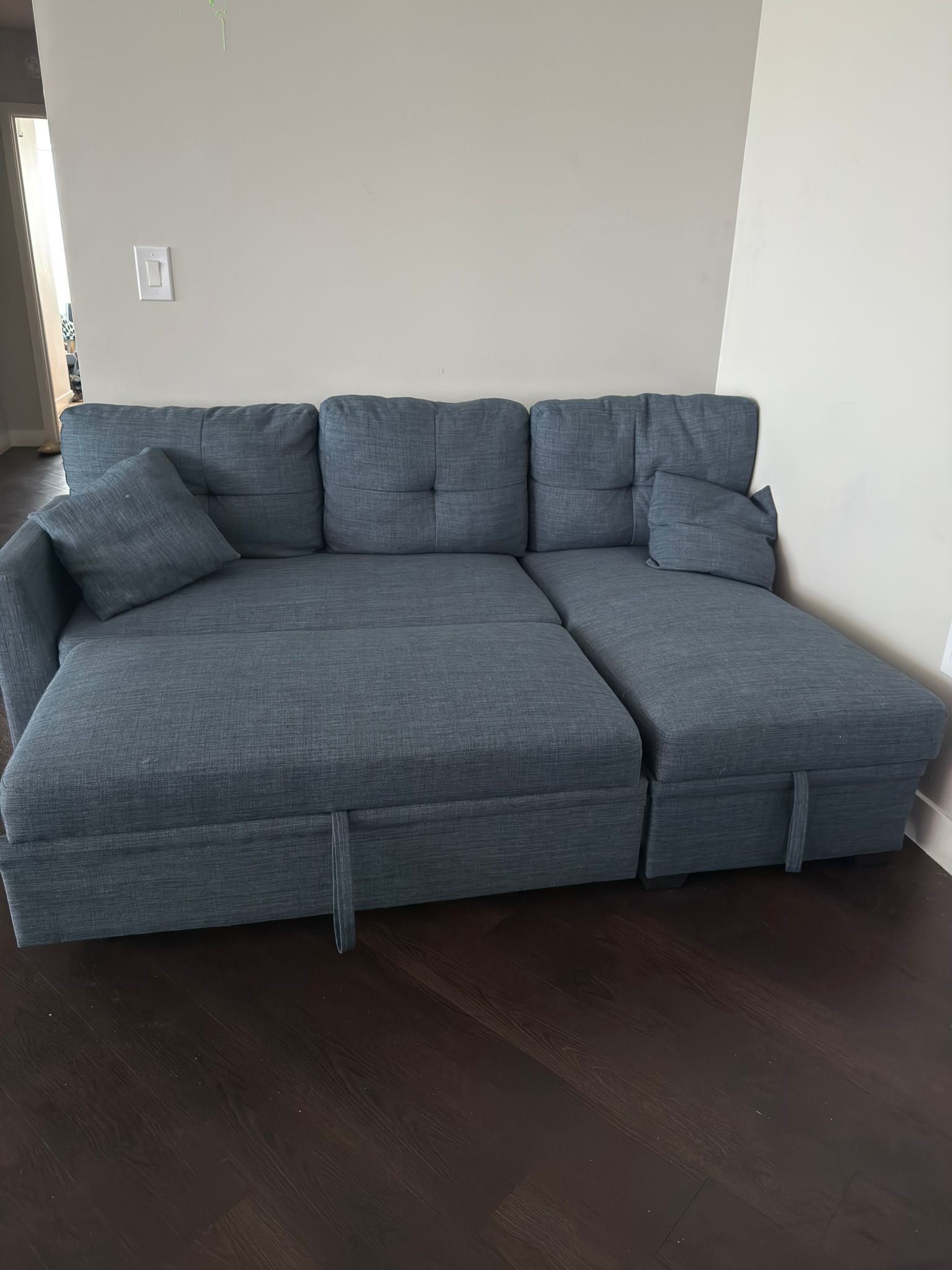 Sofa Cum Bed-250