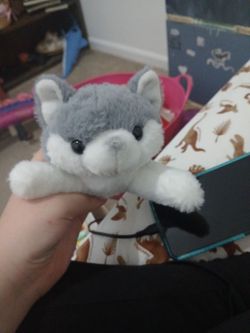 Toy dog