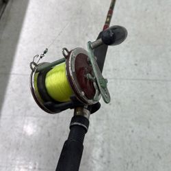 Penn Senator 4/0 W/ Senator Rod 