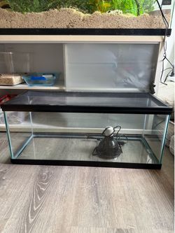 20 Gallon Terrarium