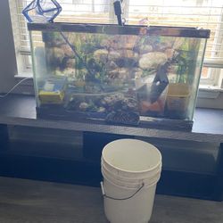 Fish Tank Stand And Accessories…….. 