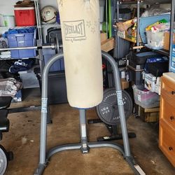 Punching Bag, Stand, Gloves