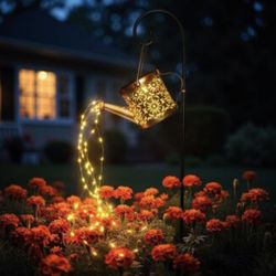 Lights
