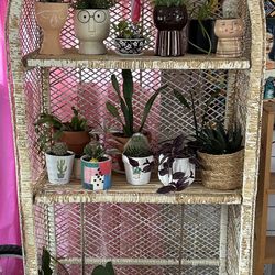 Wicker Plant Shelf Unit 