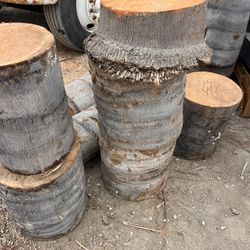 Free palm tree trunks great for DIY projects carving for TIkis use to put plant pots on top of