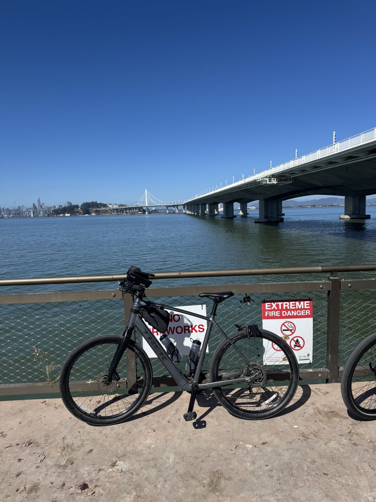 Trek Dual Sport +