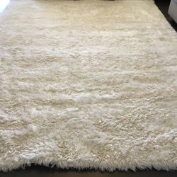 Indoor Area Rug