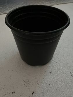 Planters Pot 2 Gallon - 30