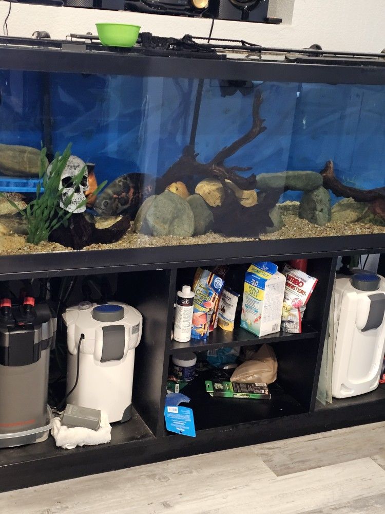 125 Gallon Fishtank