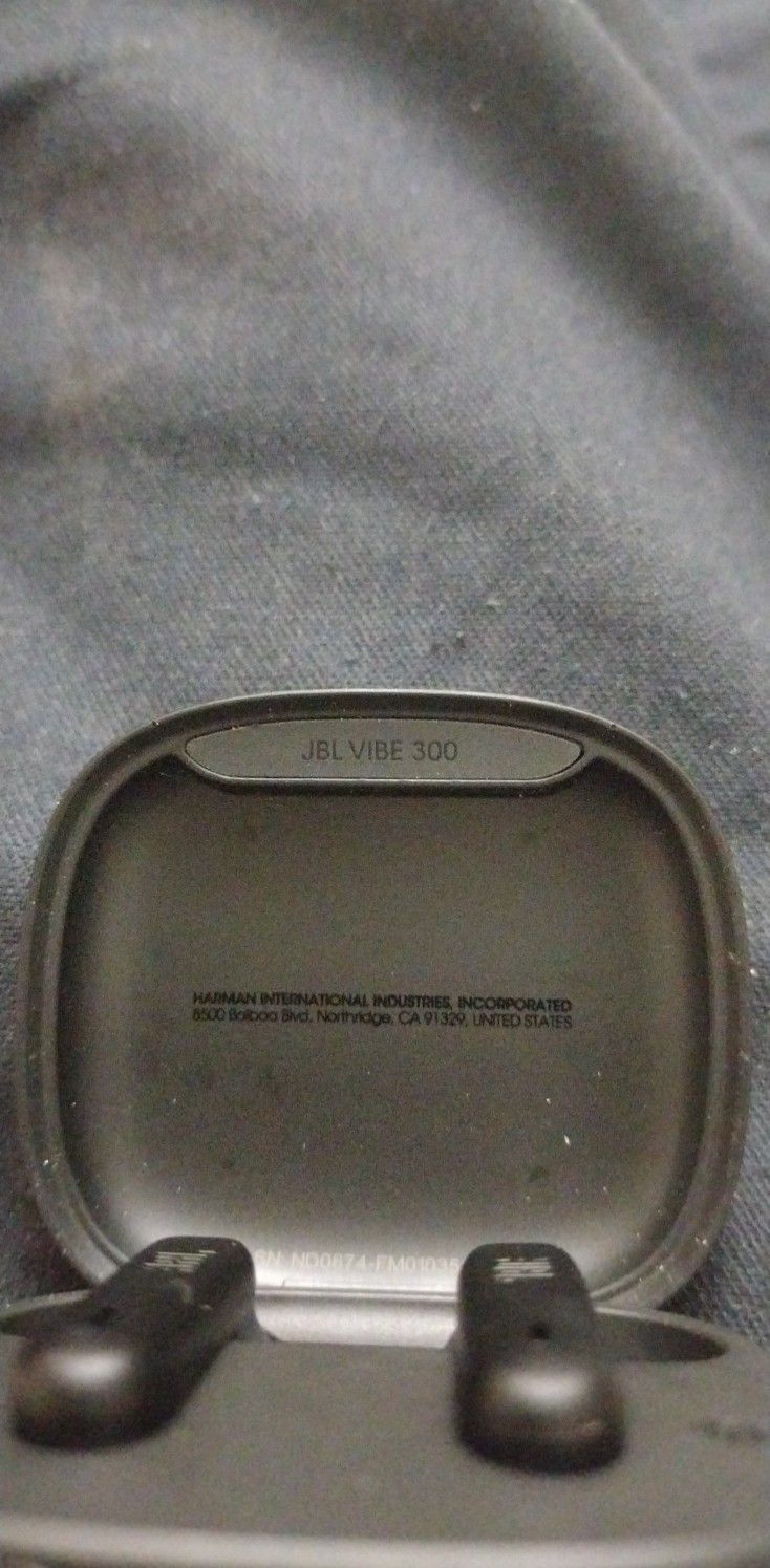 JBL VIBE 300