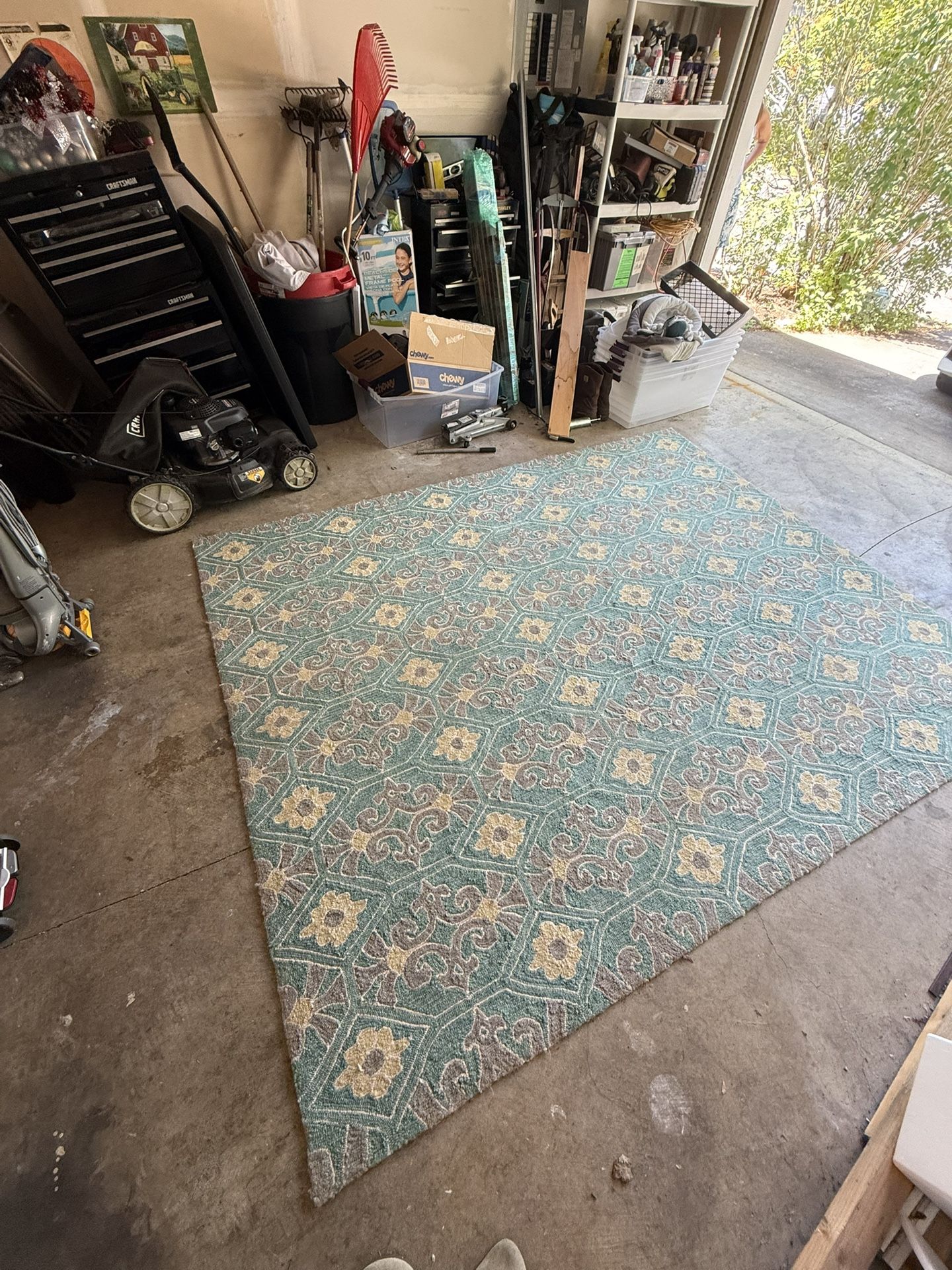 Area Rug