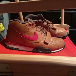 Nike Air Trainer 1 Brown/red