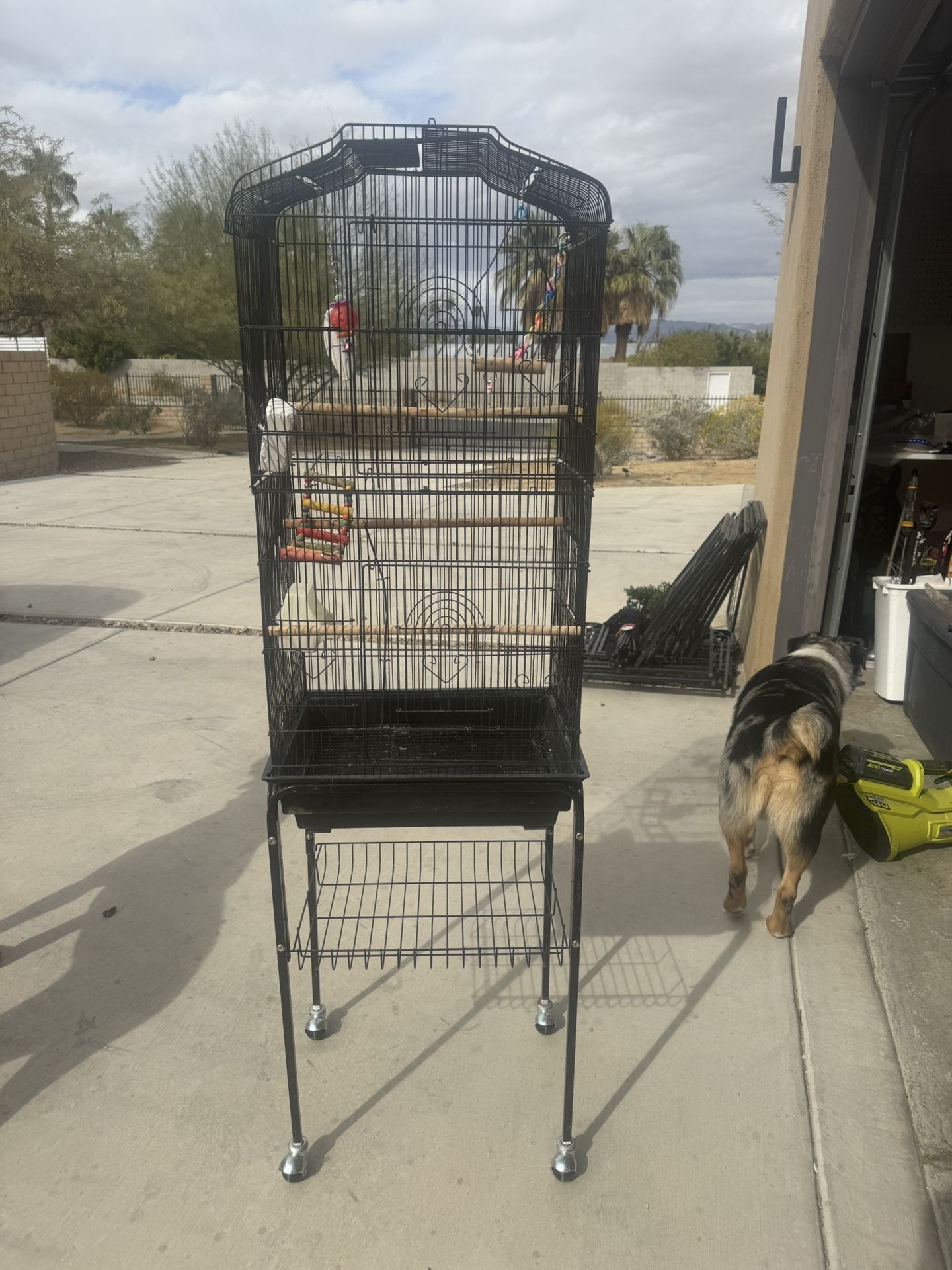Bird Cage