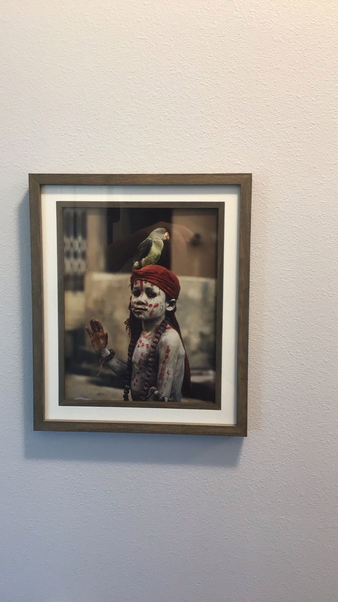 Indian Boy With Bird