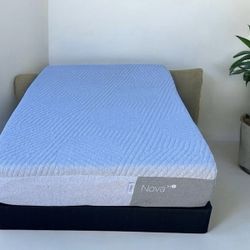 Full Casper Mattress And Box Spring 