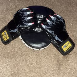 MMA Gloves And Pad 