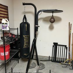 Speedbag Punching Bag Set