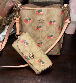 Coach strawberry bag and sunglass case