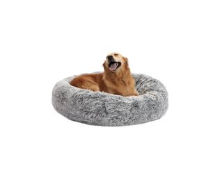 Dog bed & dog collar