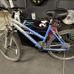 Women’s Giant Mountain bike