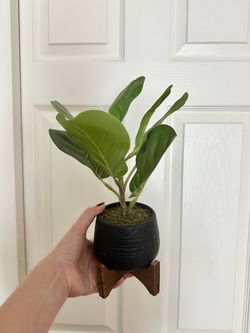 Artificial Plant