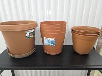 9 Round Plantes Entire Lot