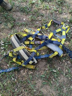 Climbing harness