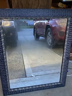 Crocodile Framed Mirror