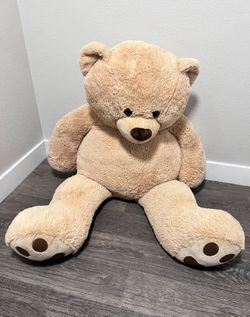 Big Teddy Bear