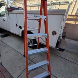 Werner Step Ladder 