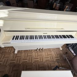 Beldwin Upright Piano 