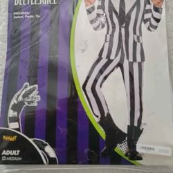 Beetlejuice Halloween Costume