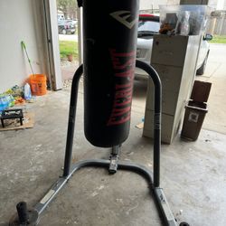 Everlast Punching Bag