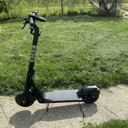 bird scooter 