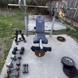 Bench With Weights 
