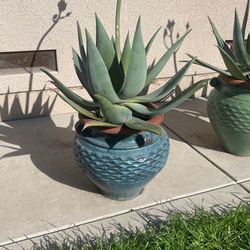 Big, Beautiful Ceramic Pots