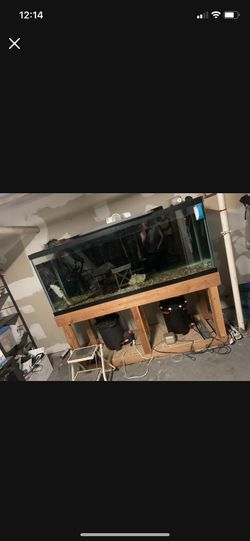 Fish Tank