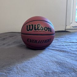 Wilson Evolution Basketball