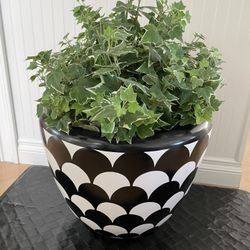 Pots w/ Plants - XXL SIZE, Artificial Plants, Black & White Design, Lightweight