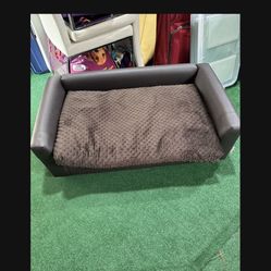 Pet Couch 