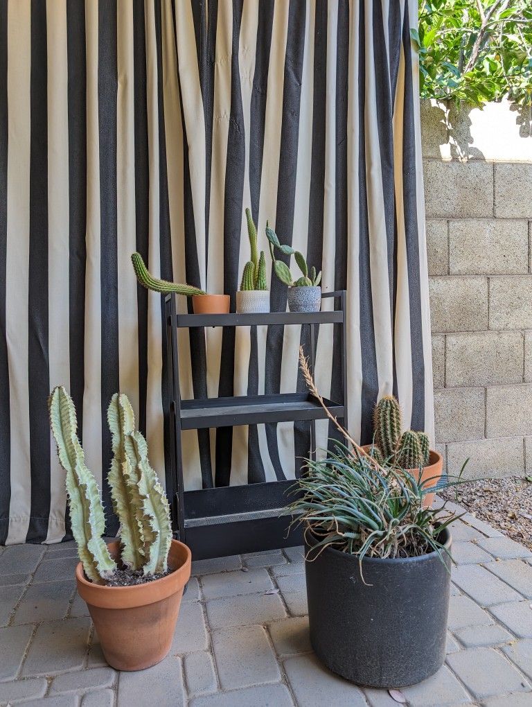 Outdoor Potted Plants 