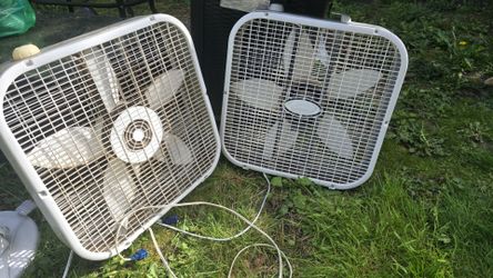 Fan
