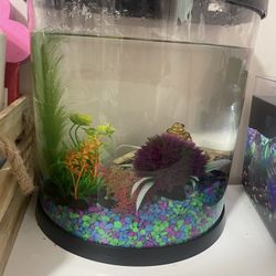 Fish Tank 3 Gallon